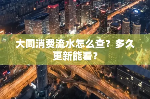大同消费流水怎么查？多久更新能看？