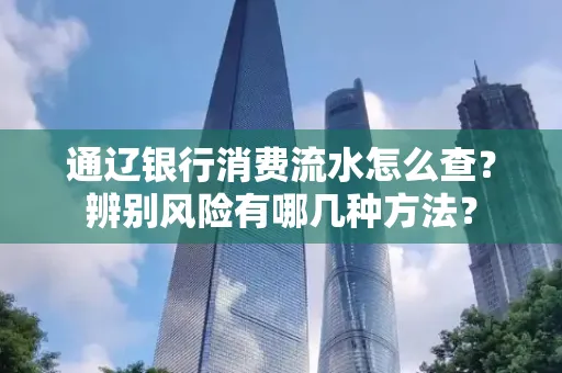 通辽银行消费流水怎么查？辨别风险有哪几种方法？