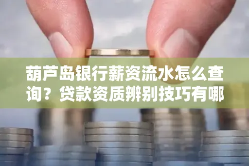 葫芦岛银行薪资流水怎么查询？贷款资质辨别技巧有哪些？