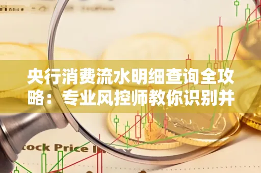 央行消费流水明细查询全攻略：专业风控师教你识别并规避用卡风险！