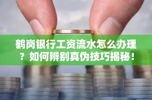 鹤岗银行工资流水怎么办理？如何辨别真伪技巧揭秘！