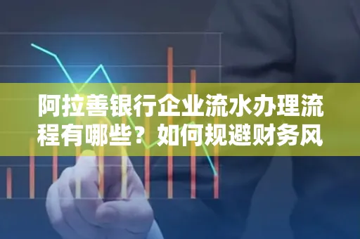 阿拉善银行企业流水办理流程有哪些？如何规避财务风险提升效率？
